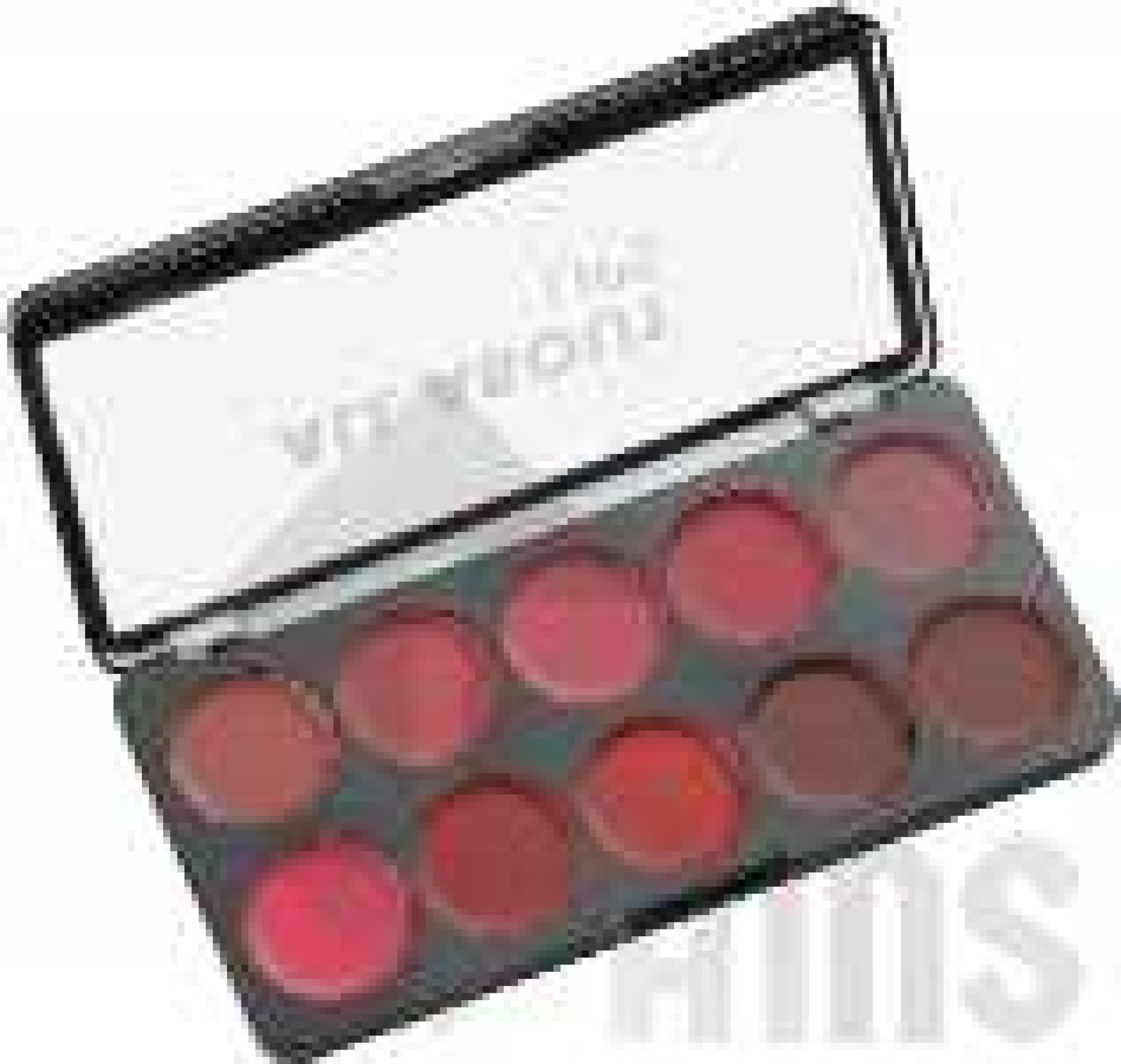 swiss beauty 1 Lipstick palette 4.jpg
